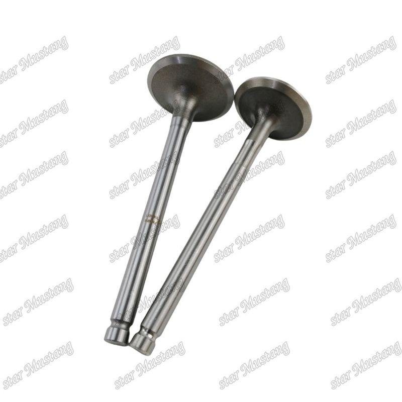 Integralstrukturventil 1104C-44T 3142H071 3142A151 Dieselmotorteil Originalbestand mit Online-Support nach